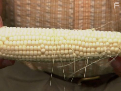 How Stuff Works (2008)