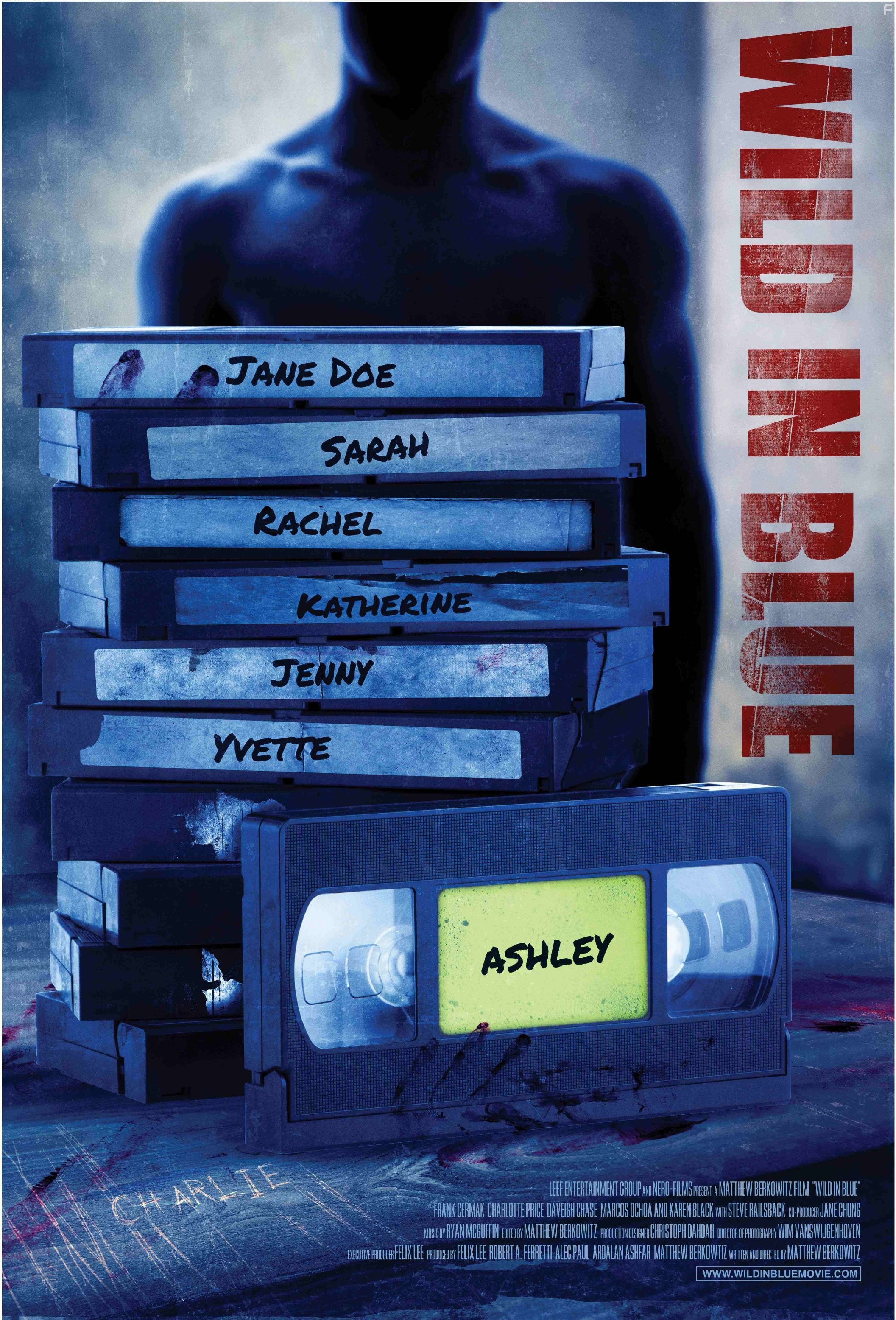 Зверство на голубом экране (2014)