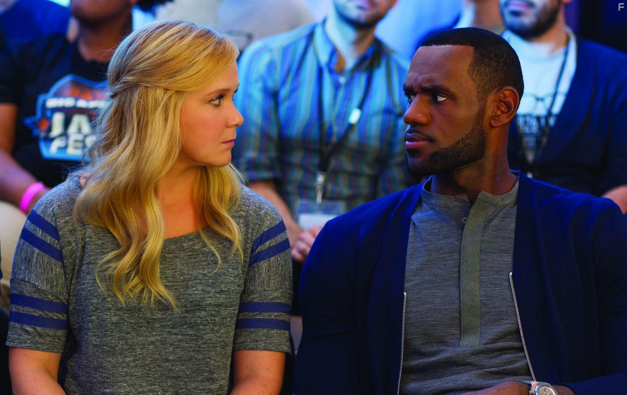 LeBron James and Amy Schumer in Девушка без комплексов (2015)