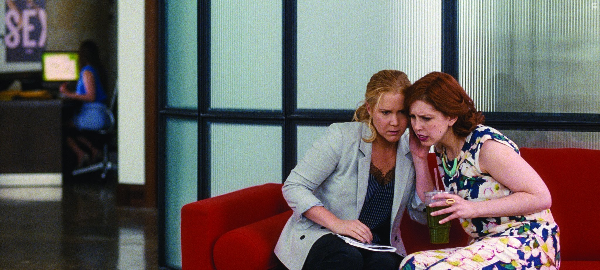 Amy Schumer and Vanessa Bayer in Девушка без комплексов (2015)