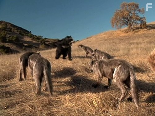 Prehistoric Predators: Giant Bear (2007)