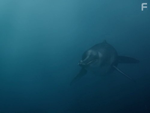 Prehistoric Predators: Monster Shark (2007)