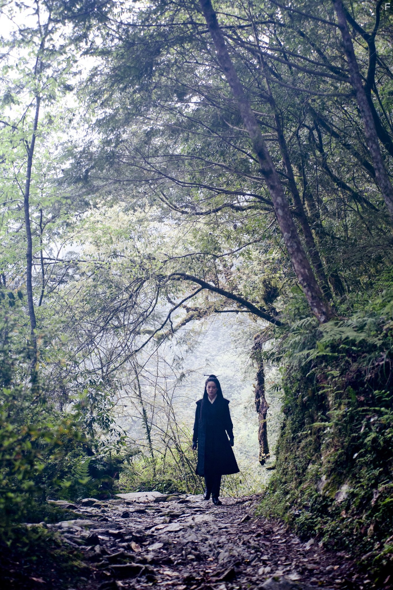 Qi Shu in Убийца (2015)