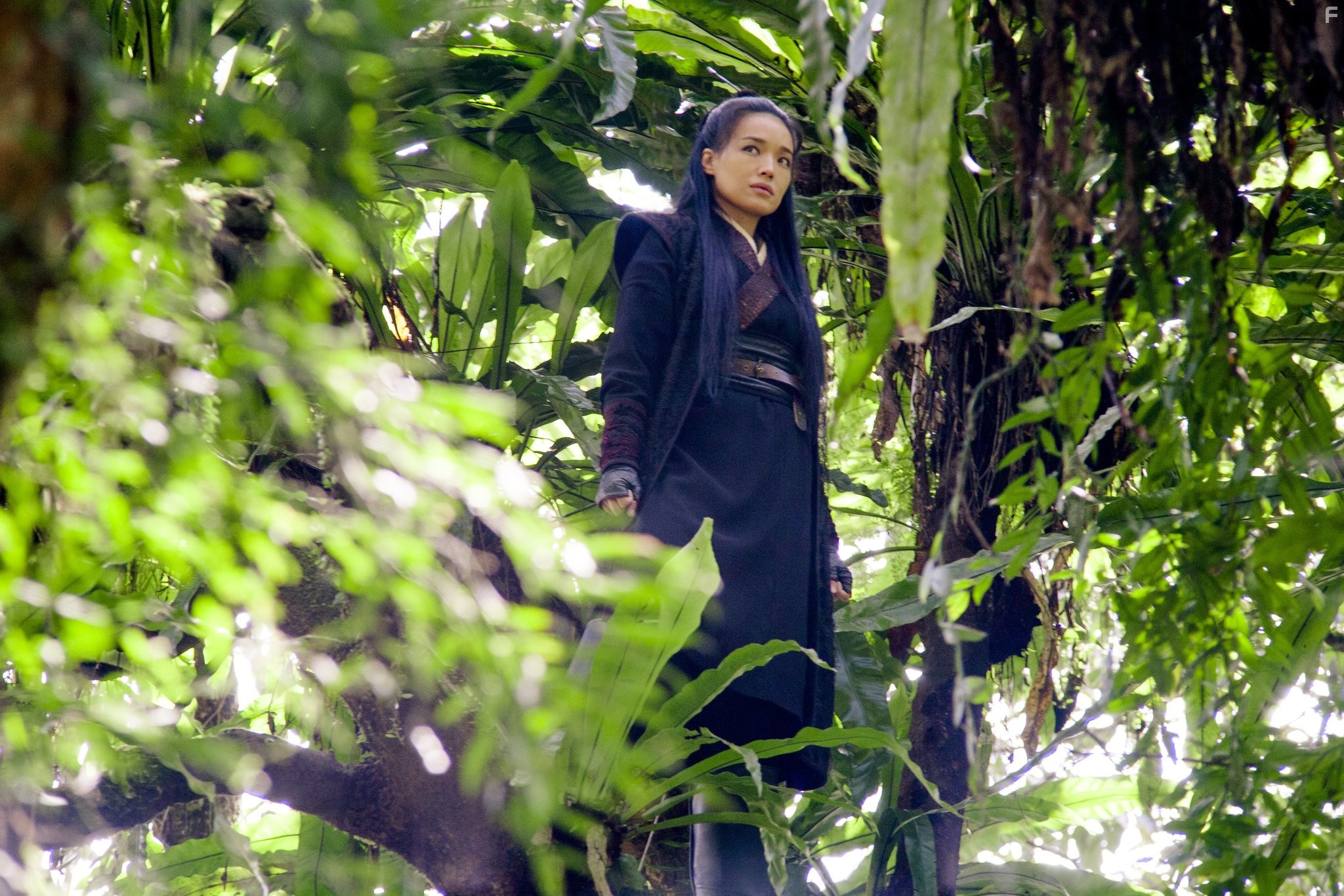 Qi Shu in Убийца (2015)