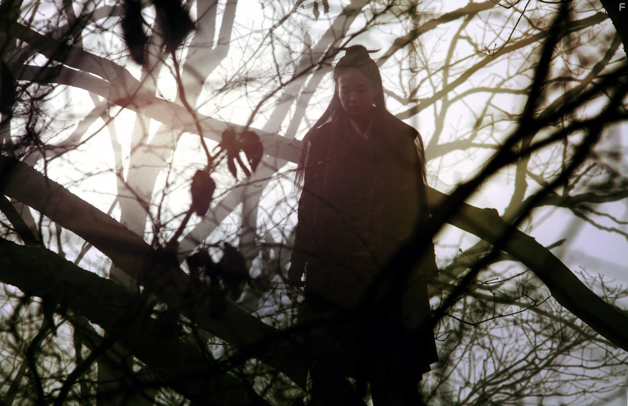 Qi Shu in Убийца (2015)