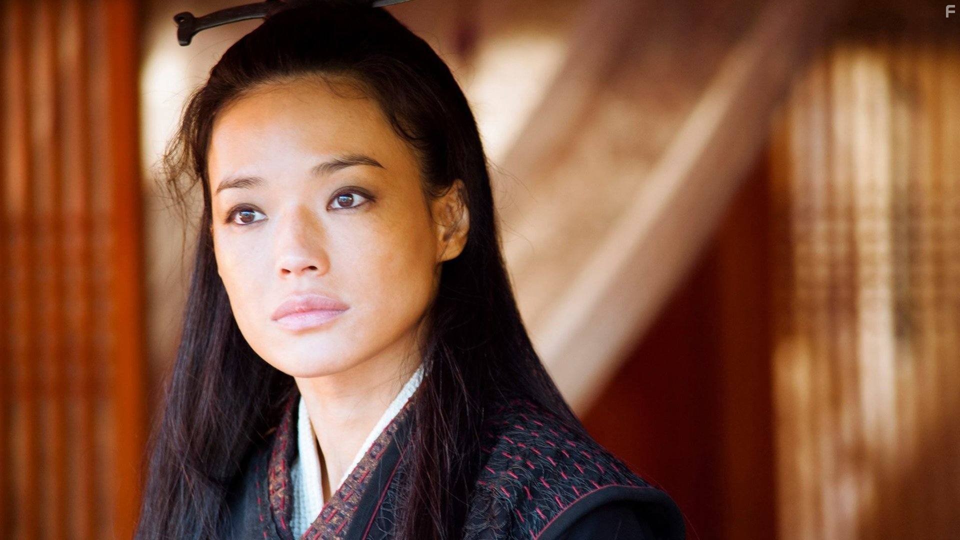 Qi Shu in Убийца (2015)