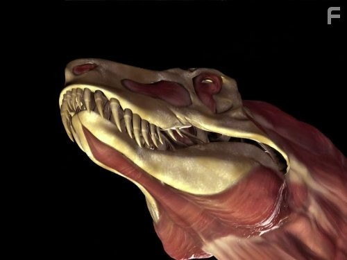 Битва динозаврiв (2009)