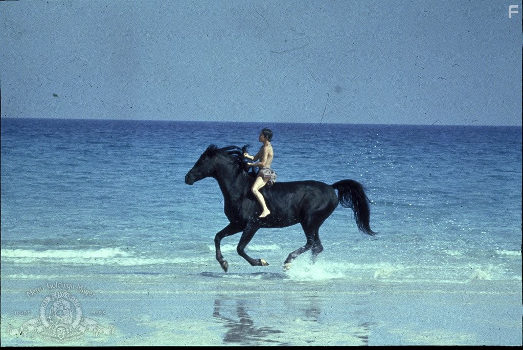 Kelly Reno in Чeрный скакун (1979)