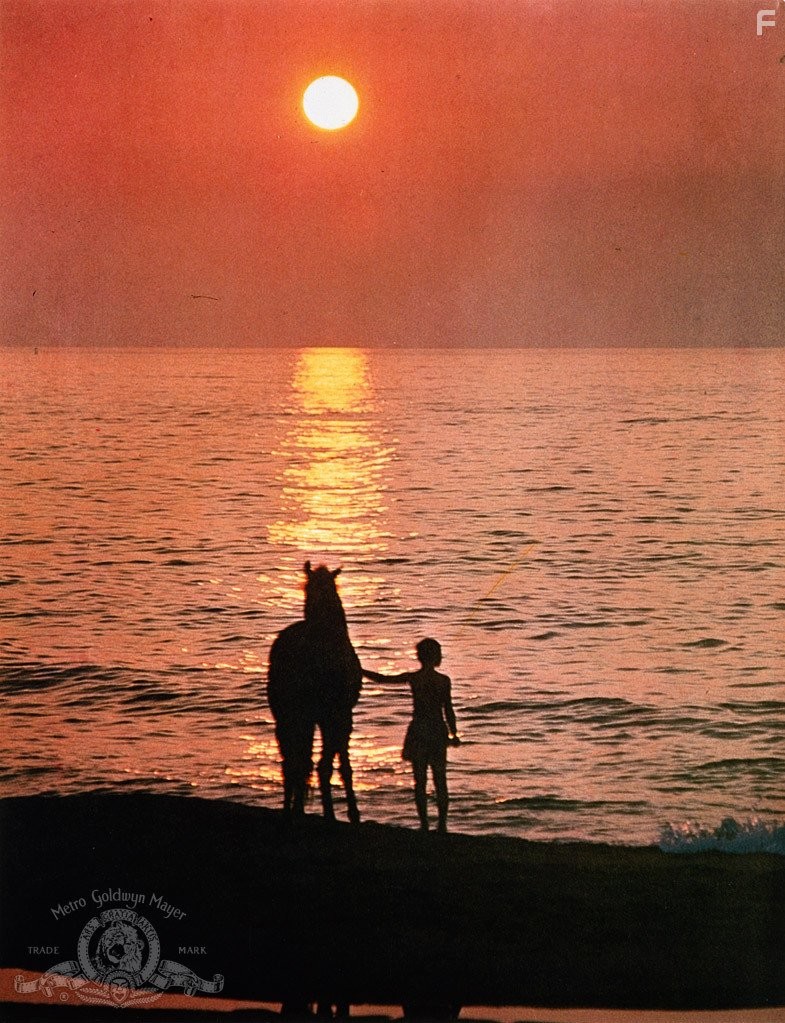 Чeрный скакун (1979)