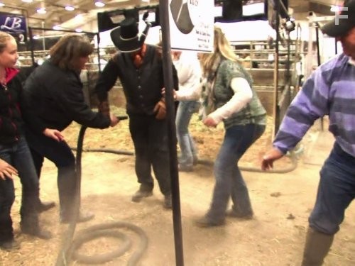 Сокровища Барри (2014)