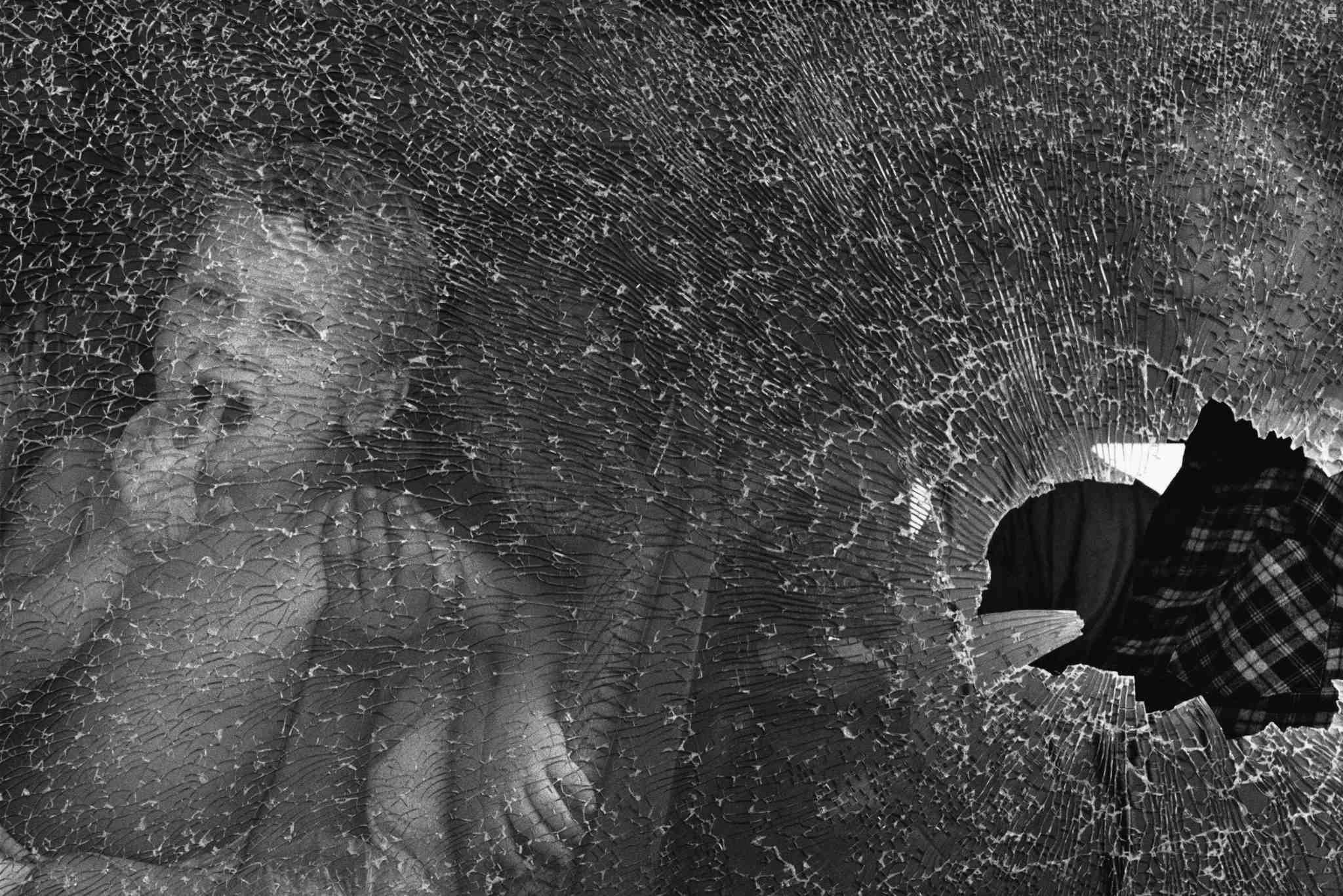 Соль Земли (2014)