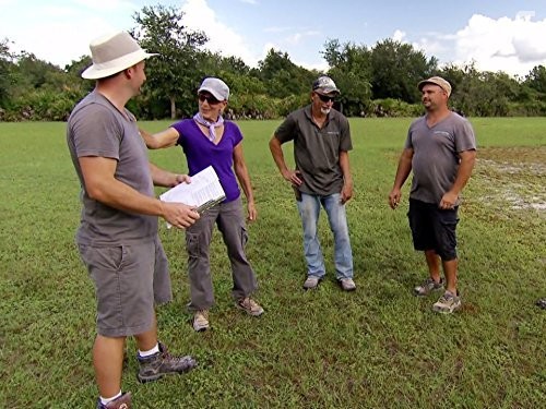 Insane Pools Off the Deep End (2015)