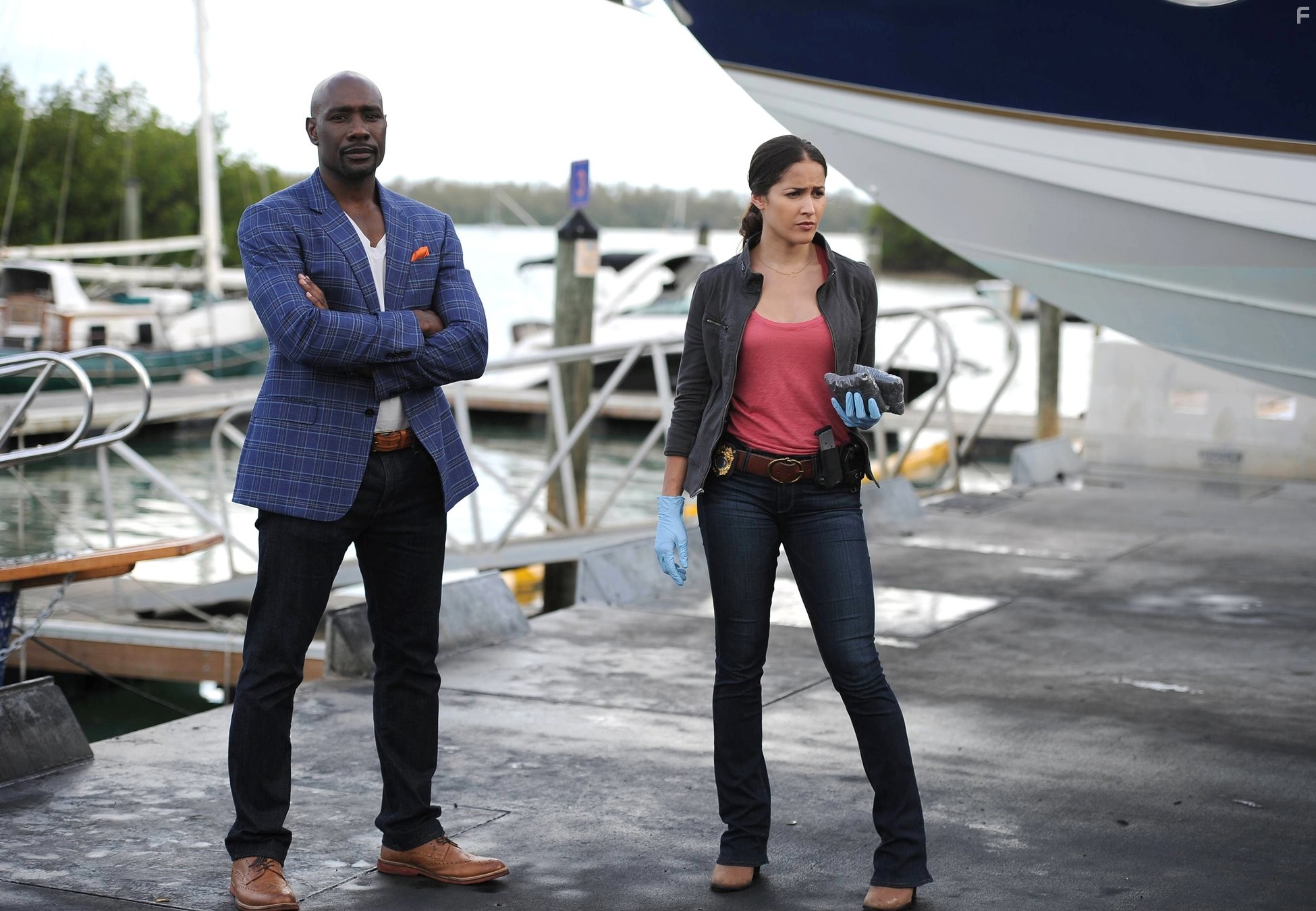 Morris Chestnut and Jaina Lee Ortiz in Роузвуд (2015)