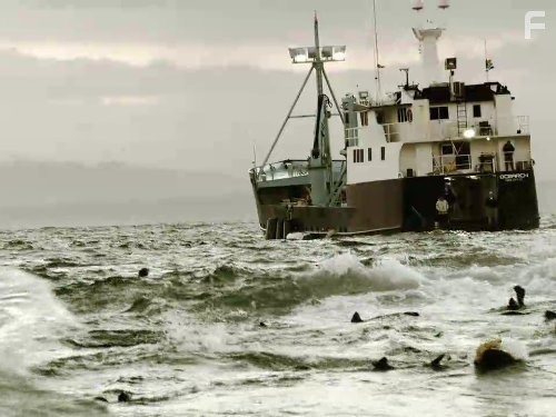 Shark Wranglers (2012)