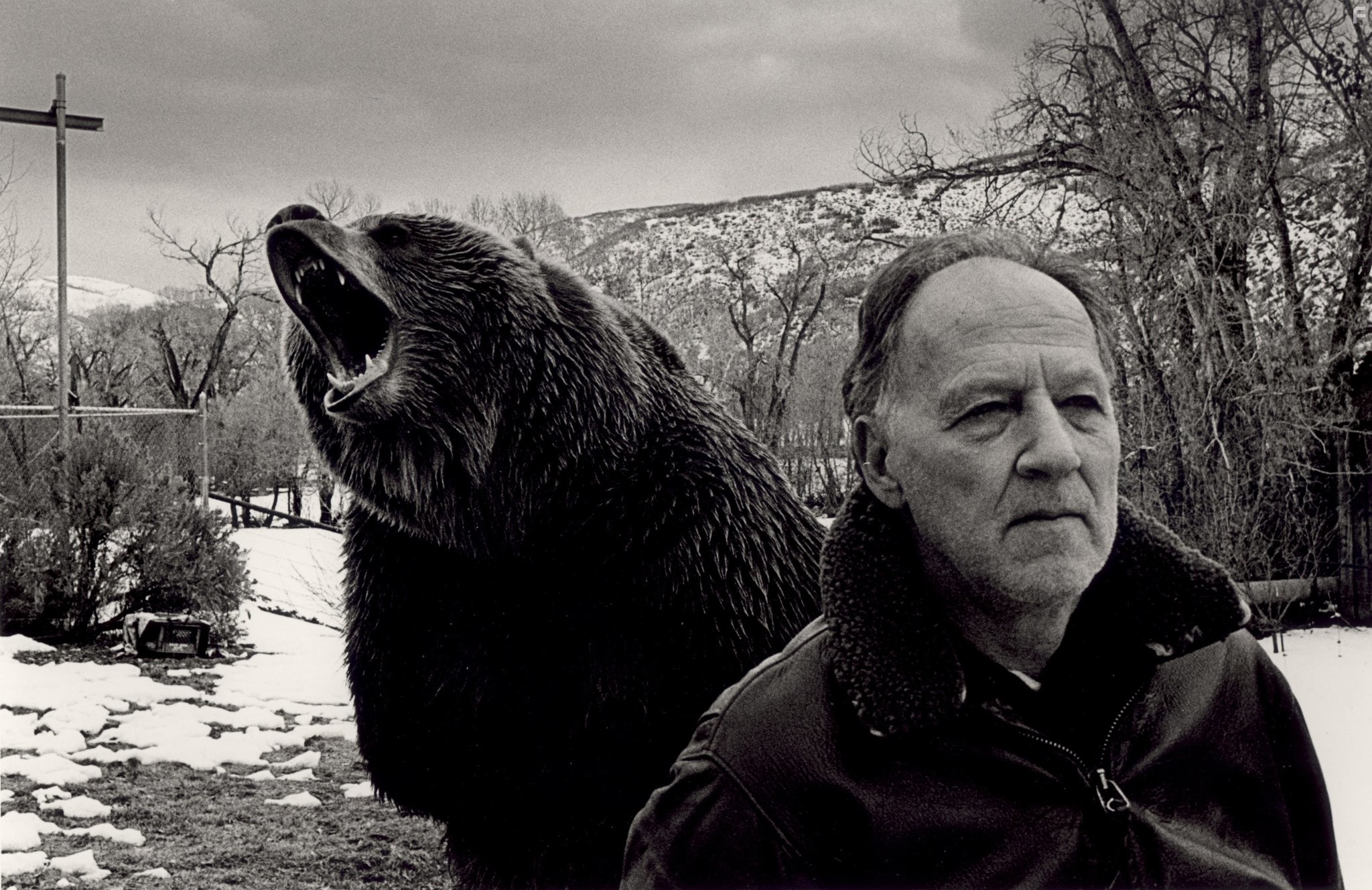 Werner Herzog in Чeловек гризли (2005)