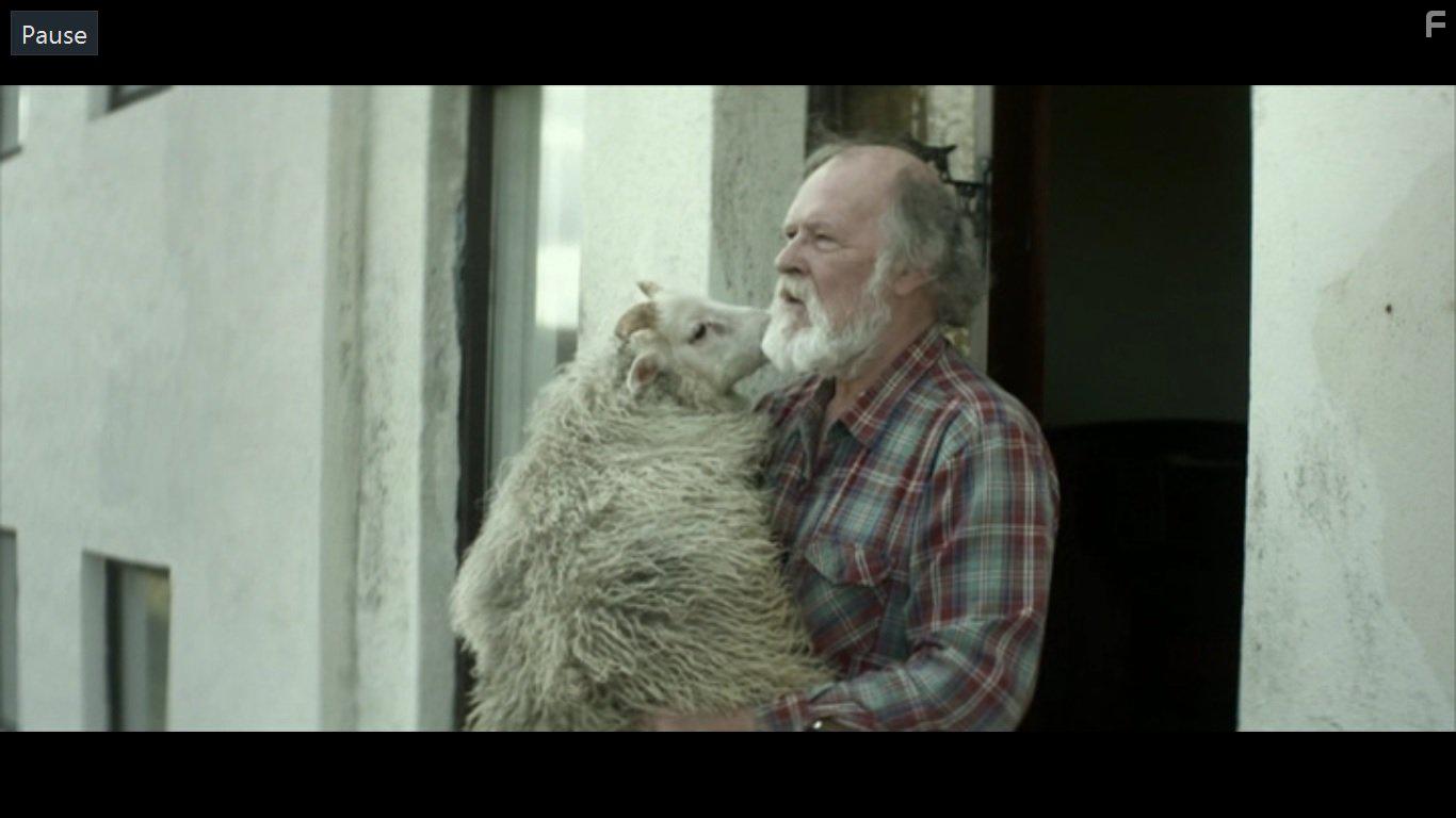 Theodr Jlusson in Hrtar (2015)