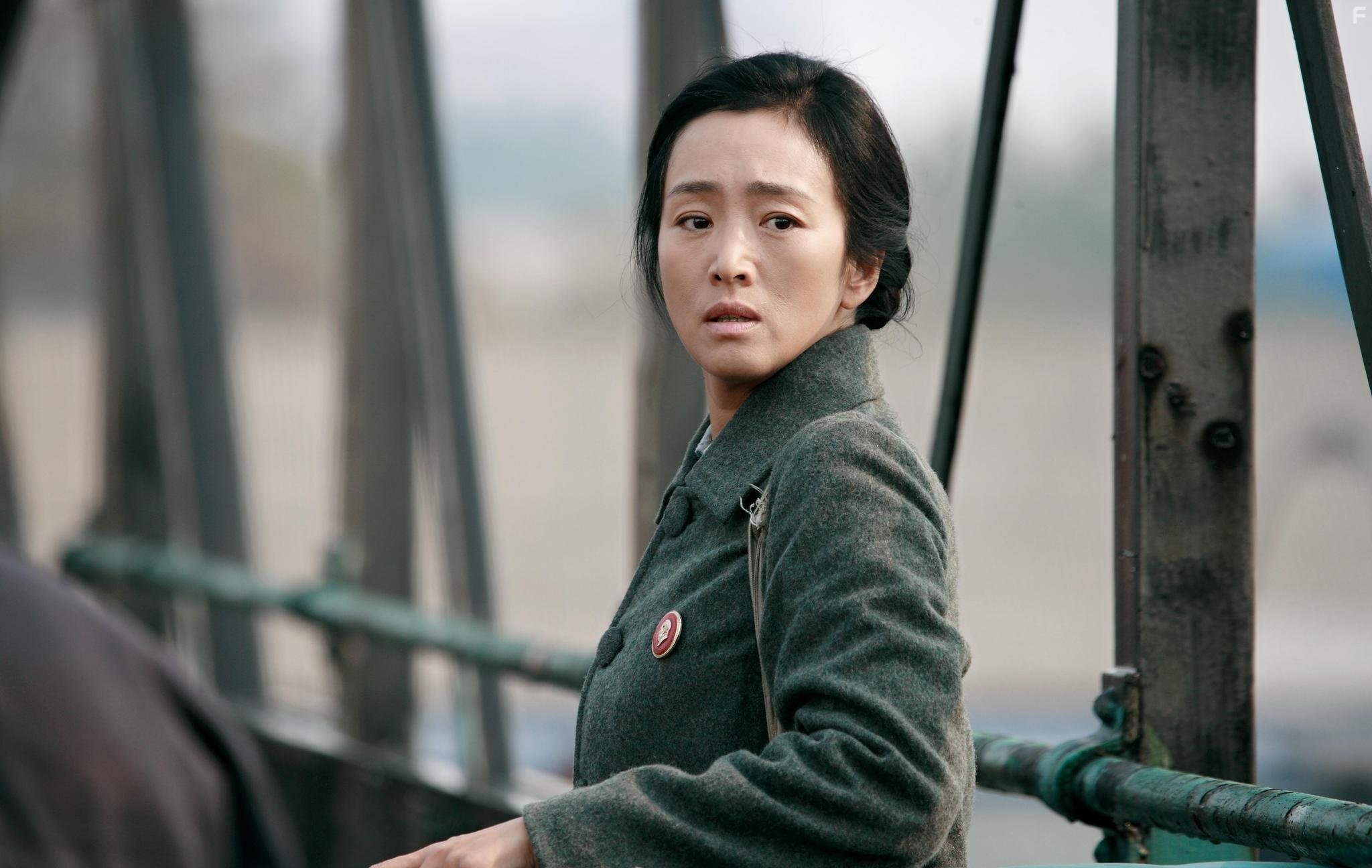 Li Gong in Возвращение домой (2014)