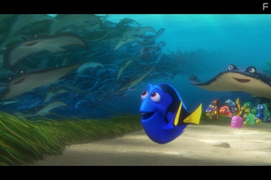 Ellen DeGeneres in В поисках Дори (2016)