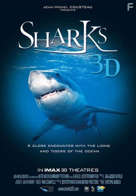 Sharks 3D (2004)