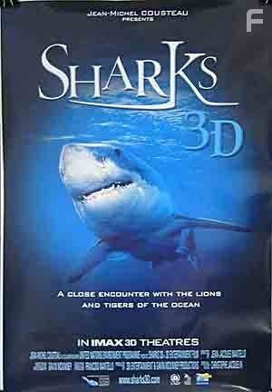 Sharks 3D (2004)