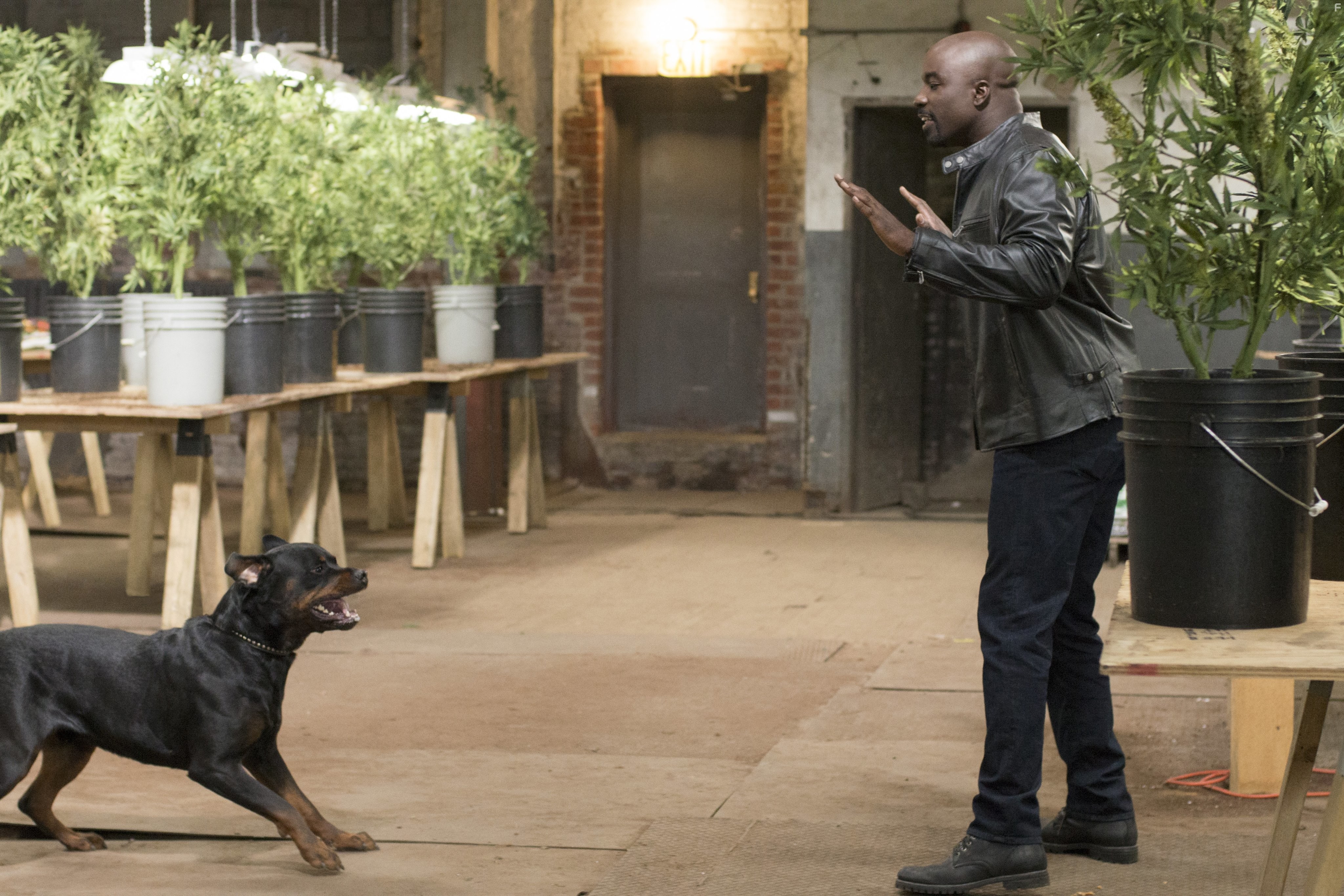 Mike Colter in Джессика Джонс (2015)