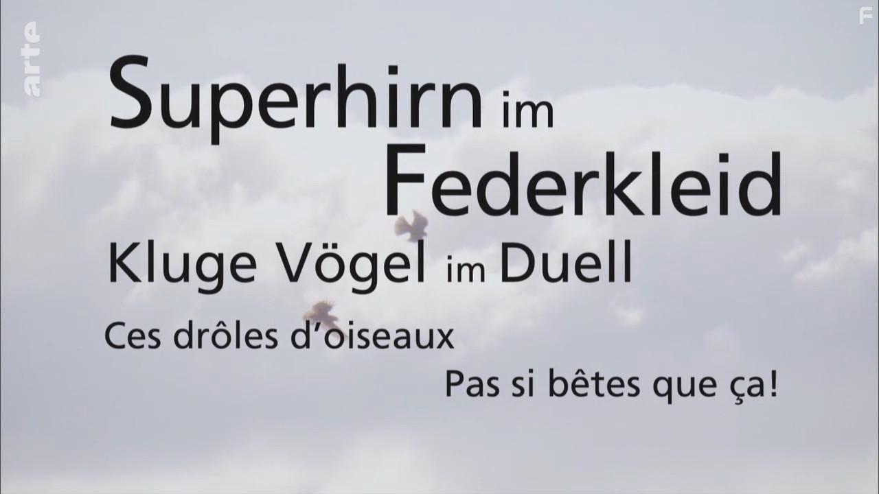 Erlebnis Erde (2007)