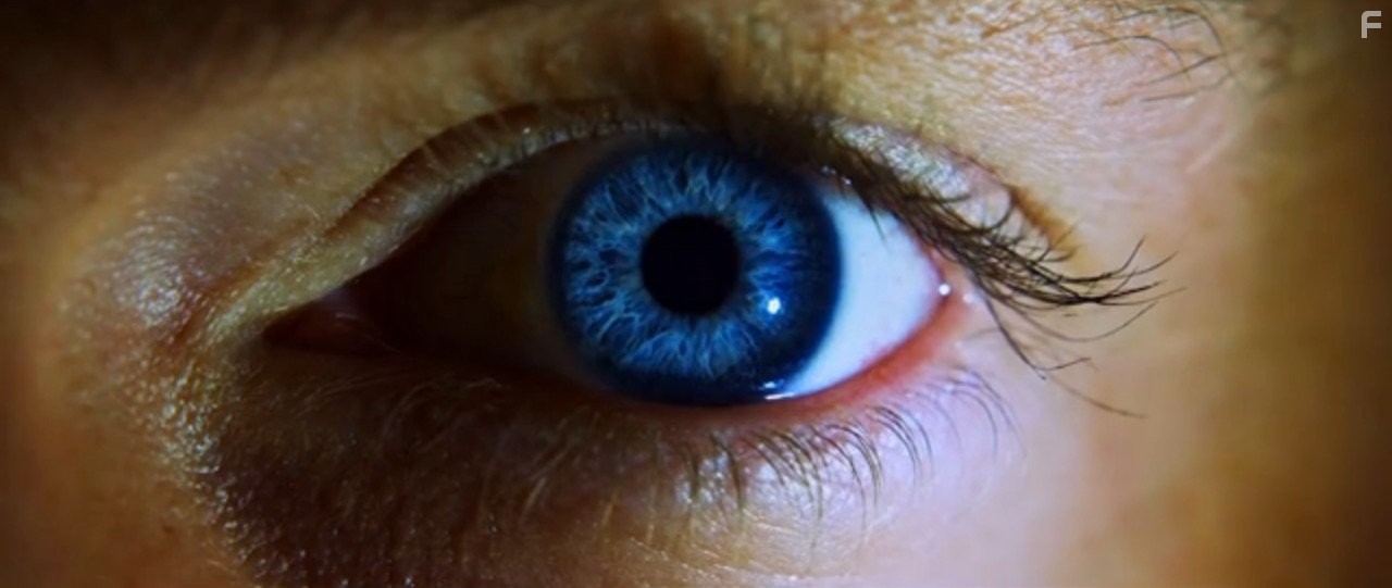 The Reconstruction of William Zero (2014)