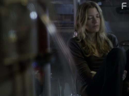 Sarah Roemer in Событие (2010)