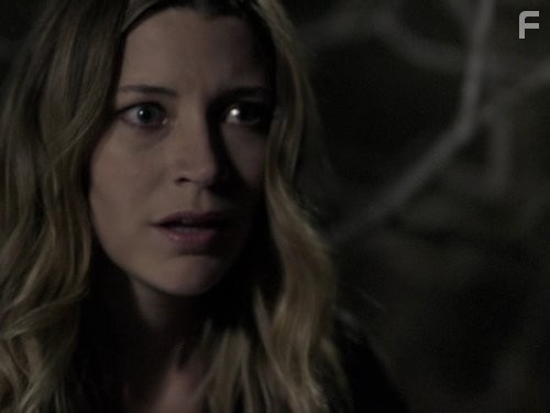 Sarah Roemer in Событие (2010)