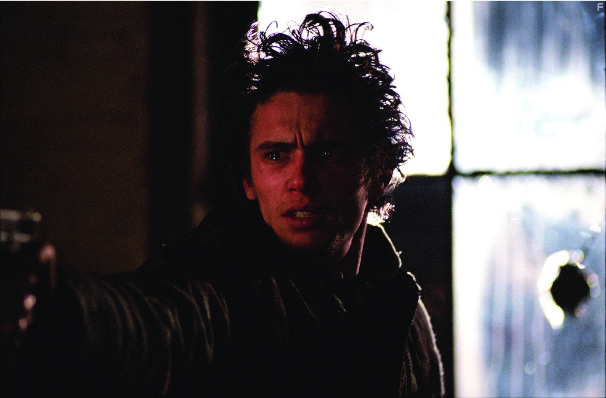 James Franco in Последнее дело Ламарки (2002)