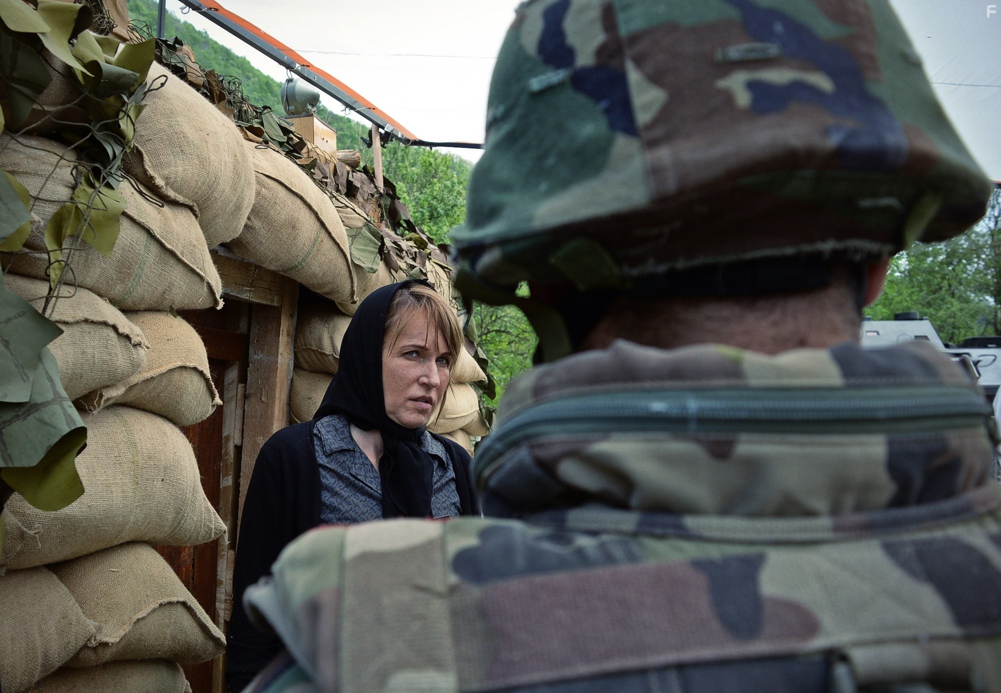 Anica Dobra in Enklava (2015)