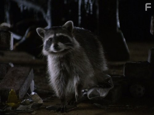 Воспитывая Хоуп (2010)