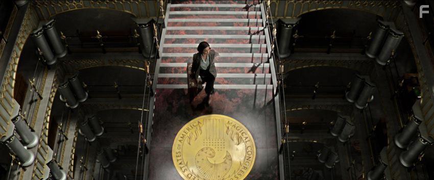 Фантастические твари и где они обитают #14