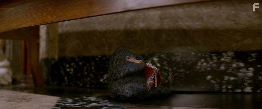 Фантастические твари и где они обитают #16