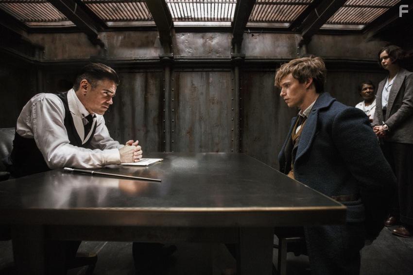 Фантастические твари и где они обитают #18