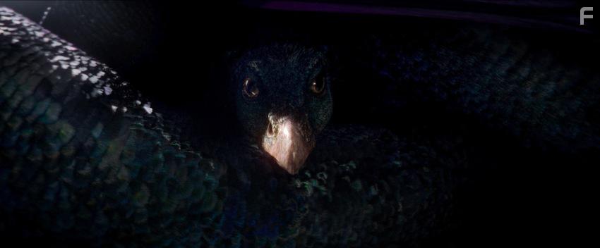 Фантастические твари и где они обитают #20