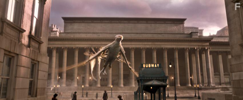 Фантастические твари и где они обитают #23