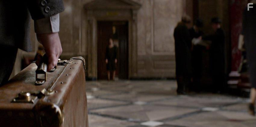 Фантастические твари и где они обитают #36