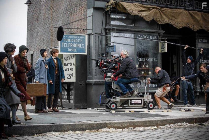 Фантастические твари и где они обитают #45