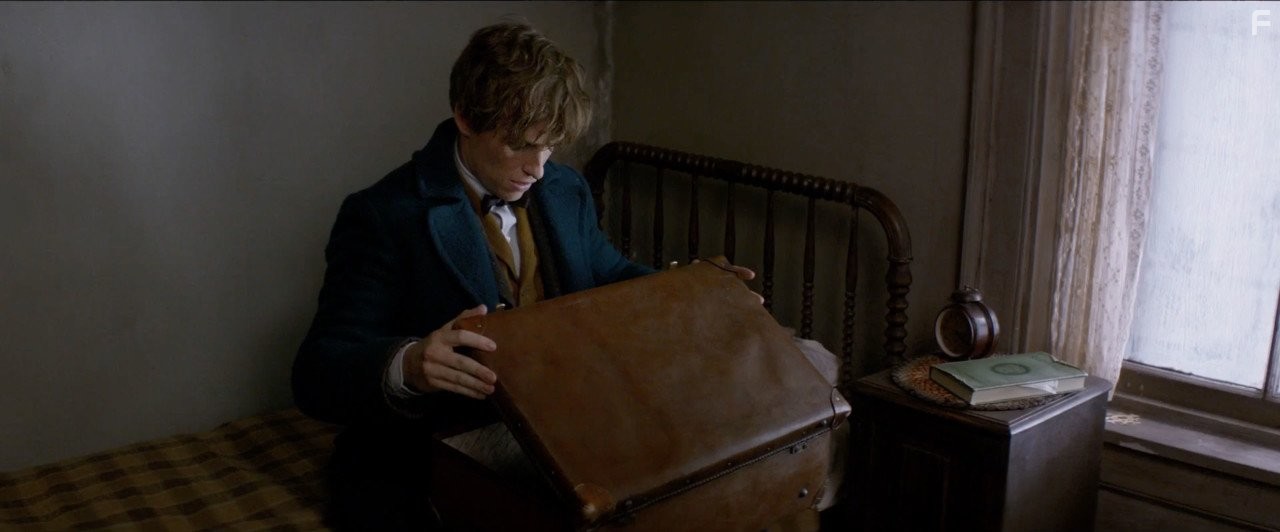 Eddie Redmayne in Фантастические твари и где они обитают (2016)