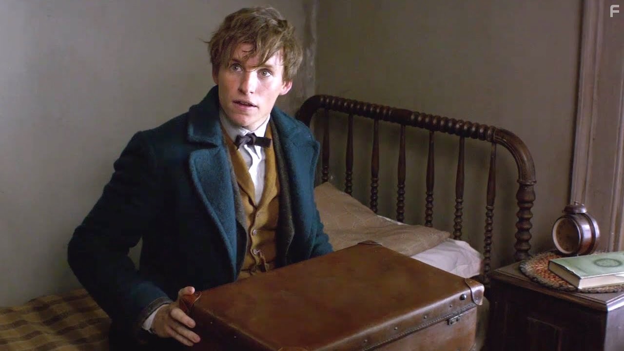 Eddie Redmayne in Фантастические твари и где они обитают (2016)