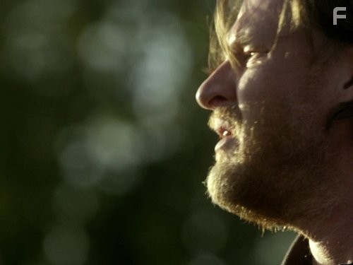 Терьеры (2010)