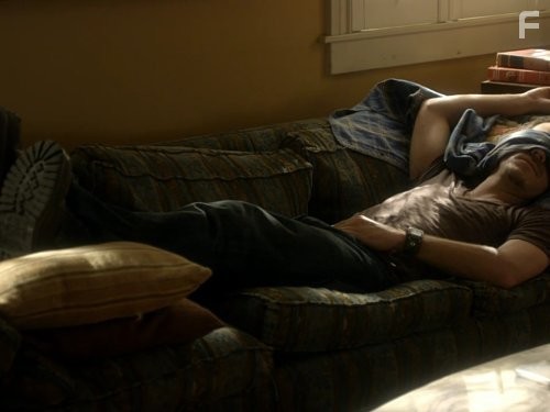 Терьеры (2010)