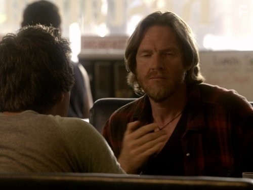 Терьеры (2010)