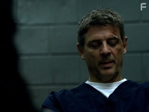 Терьеры (2010)