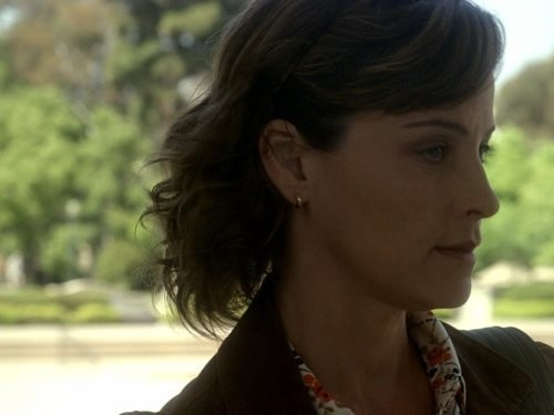 Терьеры (2010)