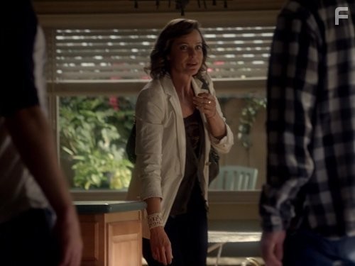 Терьеры (2010)