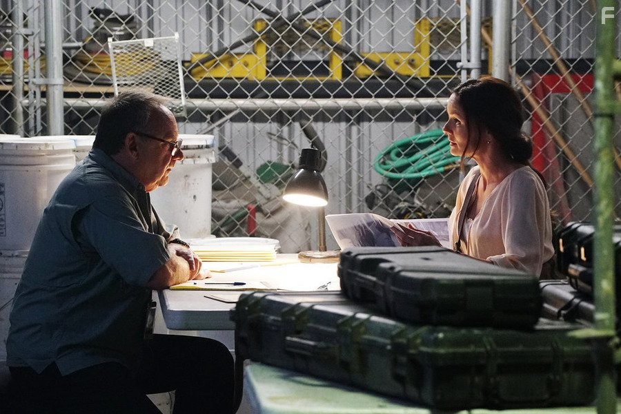 Sarah Wayne Callies in Колония (2016)