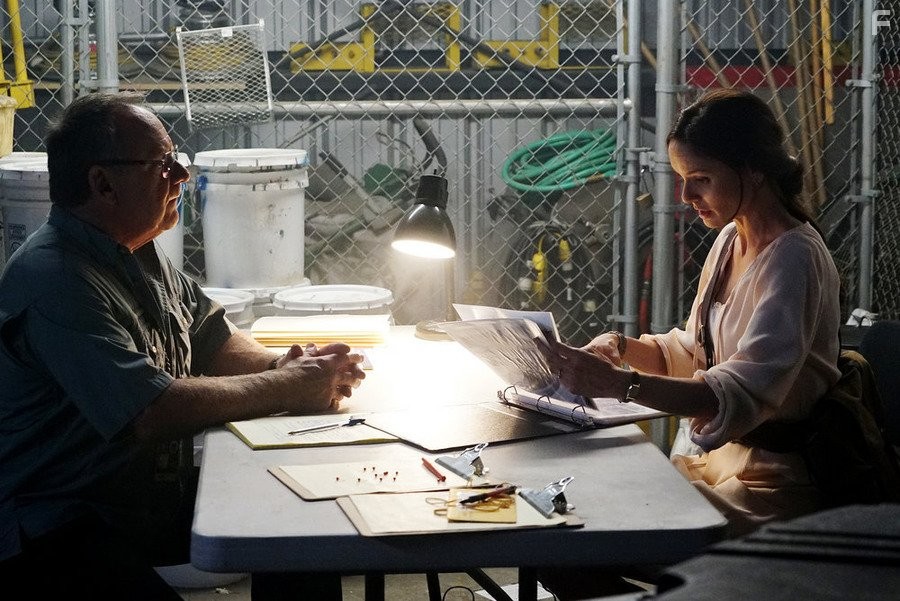 Sarah Wayne Callies in Колония (2016)