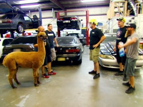 Street Outlaws (2013)